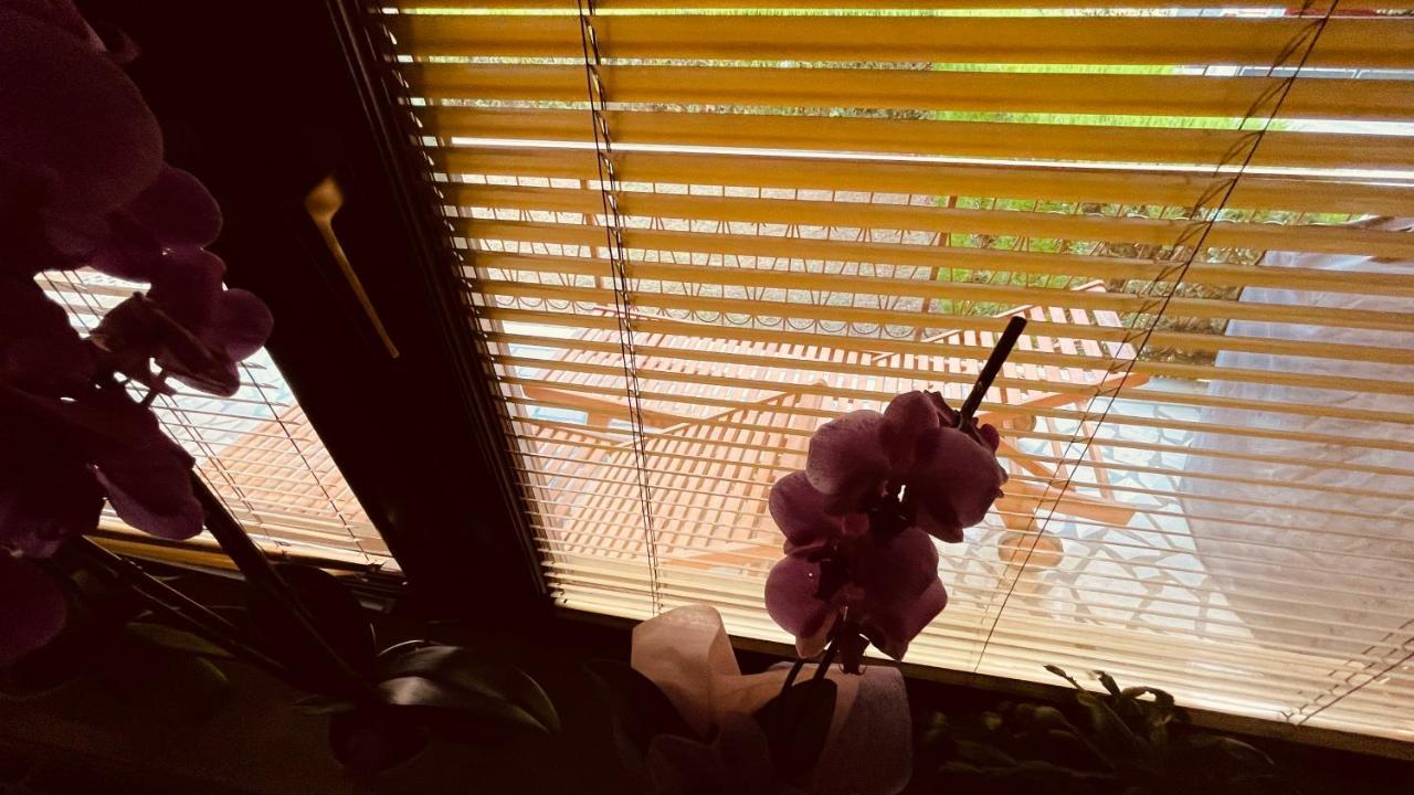 דירות רוביני The Secret Orchid מראה חיצוני תמונה